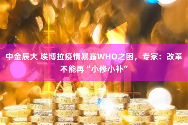 中金辰大 埃博拉疫情暴露WHO之困，专家：改革不能再“小修小补”