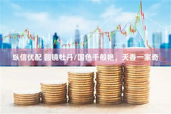 纵信优配 圆镜牡丹/国色千般艳，天香一家奇