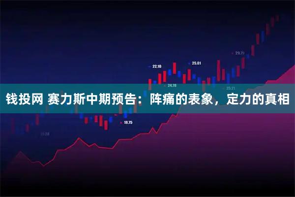 钱投网 赛力斯中期预告：阵痛的表象，定力的真相